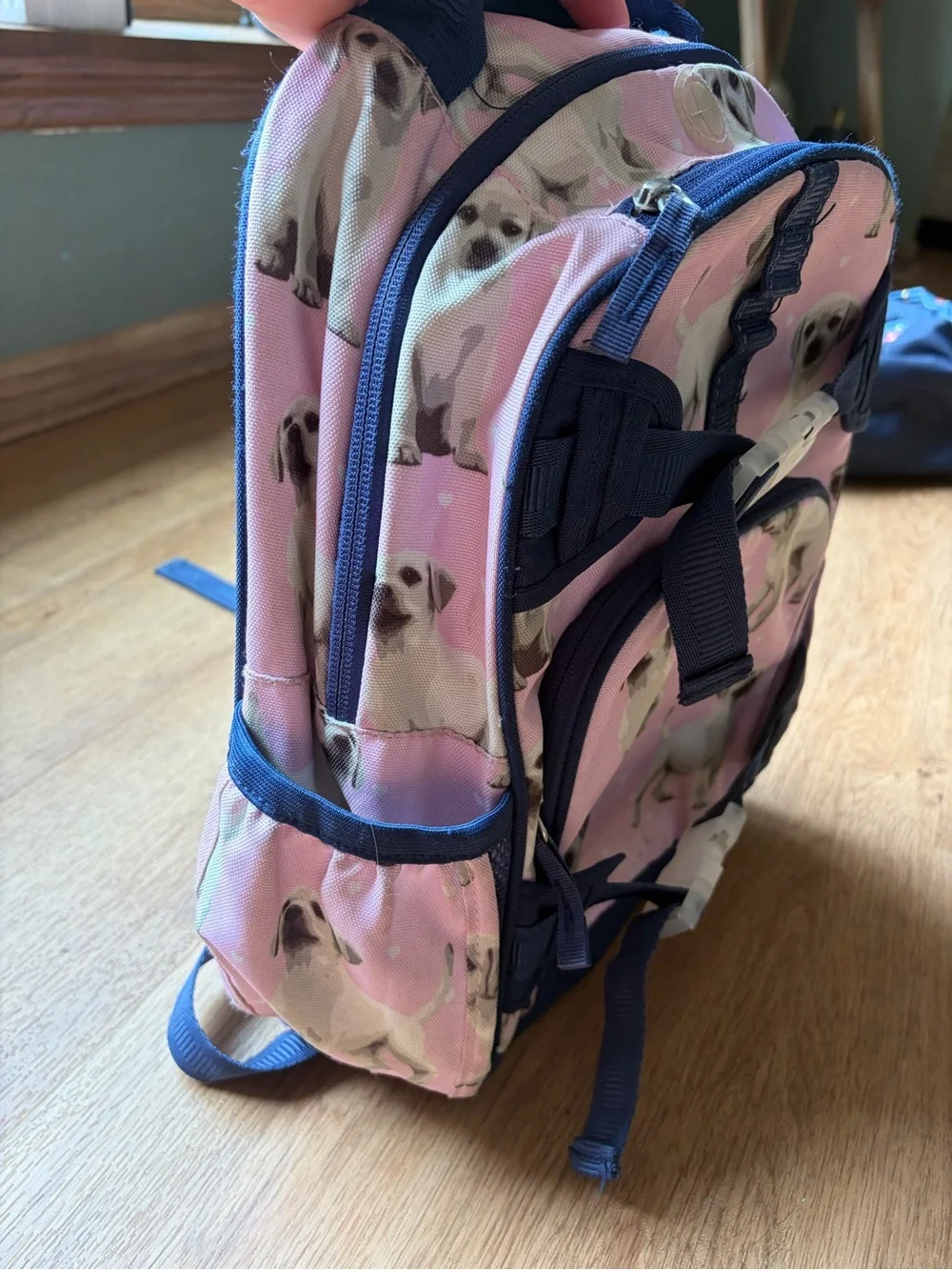 Pottery Barn Kids Pink Puppy Dog Backpack Small Preschool Toddler Book Bag